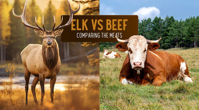 Elk vs. Beef: A Comprehensive Guide to Taste Profiles and Nutritional Benefits